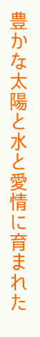 豊かな太陽と水と愛情に育まれた