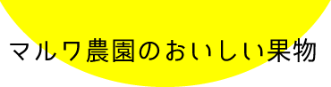 マルワ農園の果物